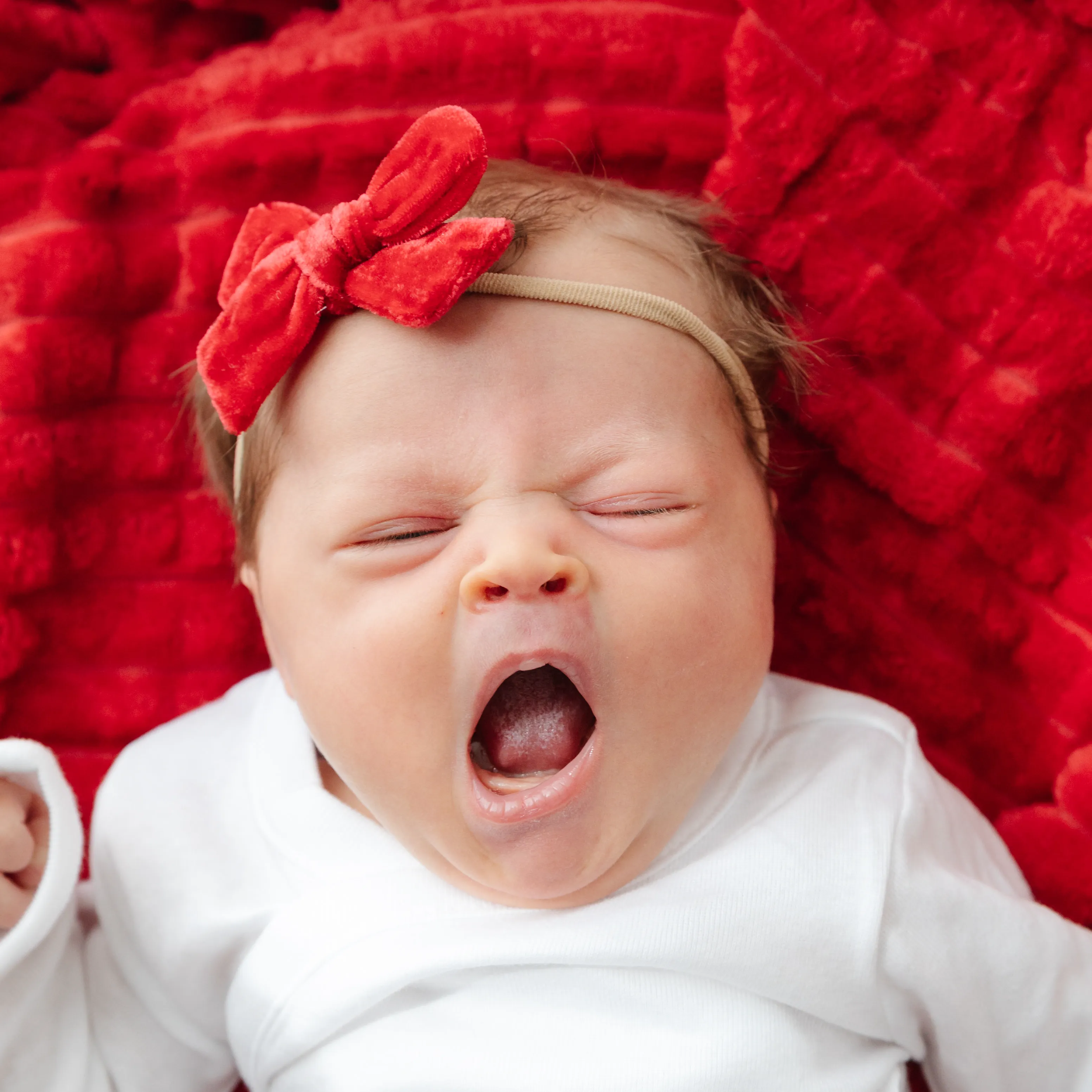 Baby Bow - Bright Red Velvet
