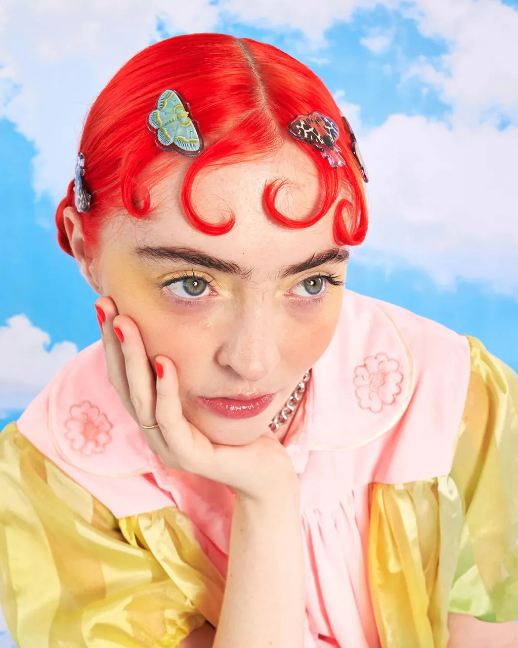 Clip Pack - Moths