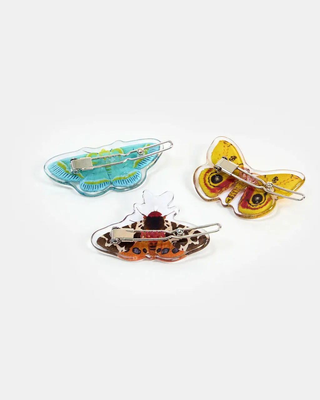 Clip Pack - Moths