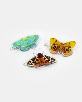 Clip Pack - Moths