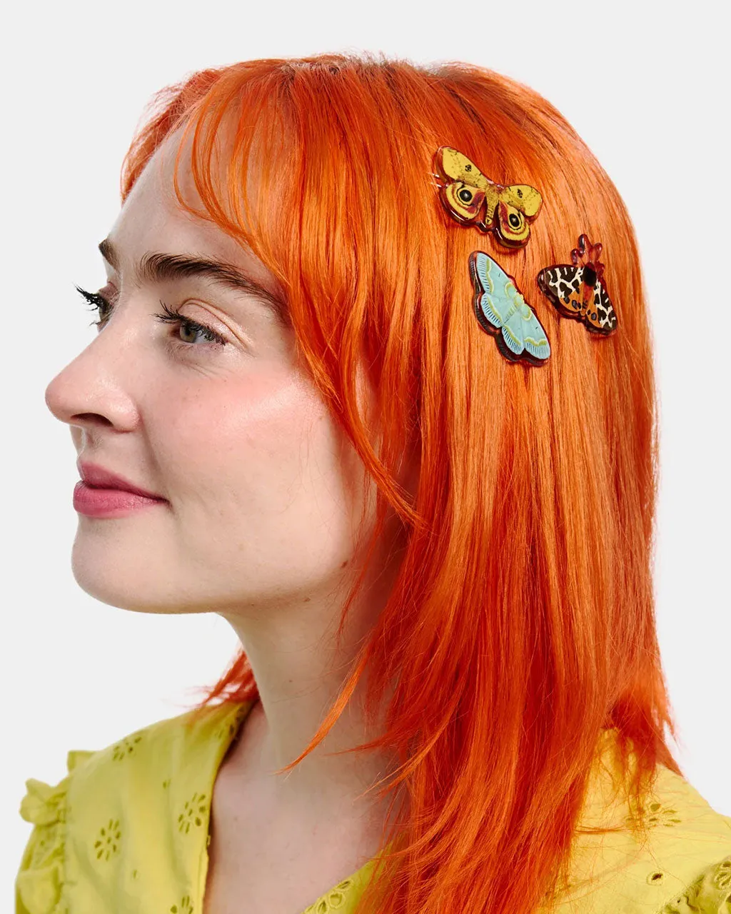Clip Pack - Moths